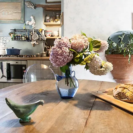 Lemons Bed and breakfast Pietrasanta